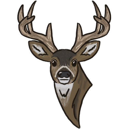 the head of a reindeer. It has large antlers and is coloured in shades of grey and brown with a white chest, muzzle and ear fluff. 